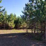 RV There Yet Campground