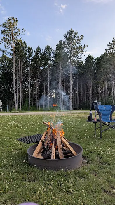 In the woods campground Picture 1