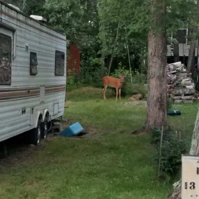 Whitebirch RV & Camping Resort Picture 2