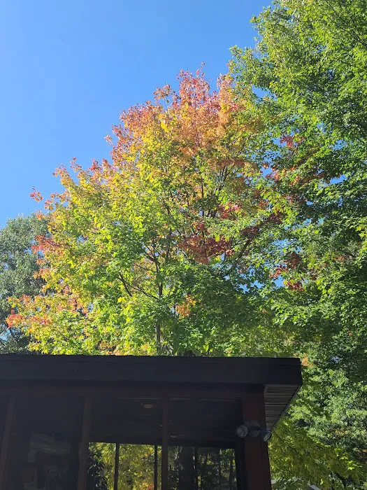 Whitebirch RV & Camping Resort Picture 5