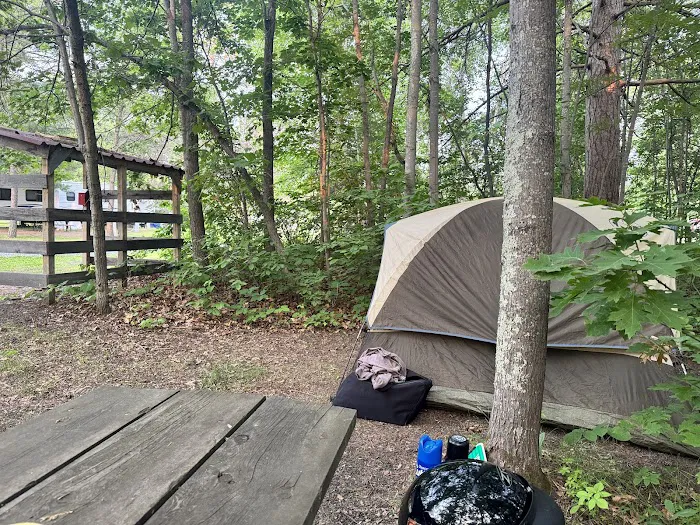 Big Winnie Store RV Park & Campground Picture 7