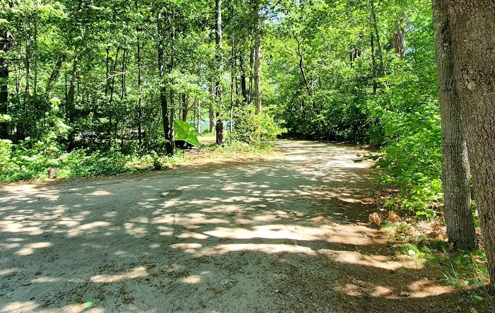 Williams Narrows campground Picture 10