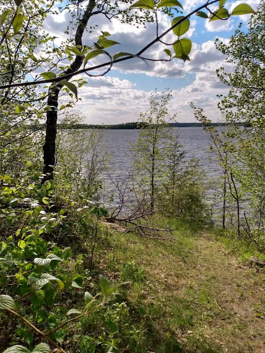 Williams Narrows campground Picture 4