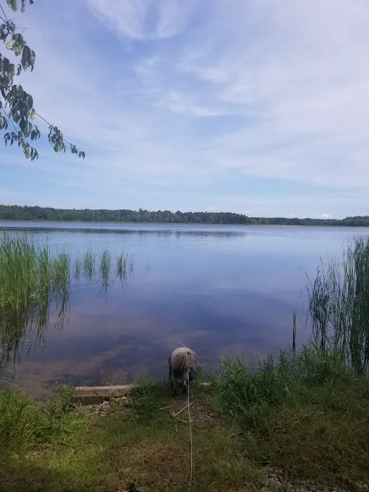 Chippewa National Forest Onegume Campground Picture 8