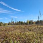Cut Foot Sioux Horse Camp