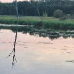 Middle Pigeon River Campground