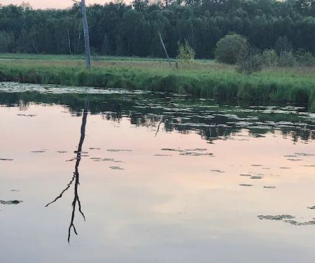 Middle Pigeon River Campground