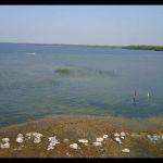 Knutson Dam Campground