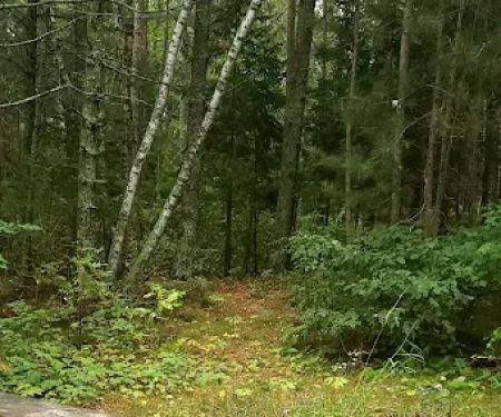 Wanaki Campground