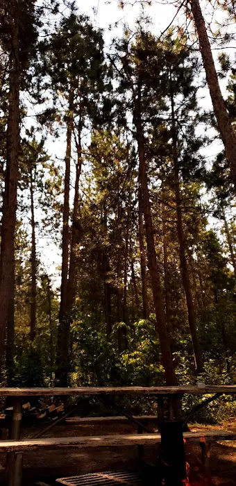 Wanaki Campground Picture 8