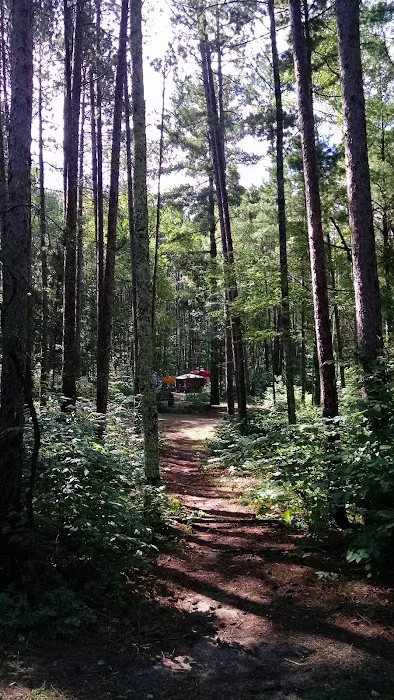 CASS LAKE LOOP Picture 9
