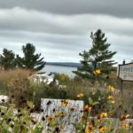 US Forestry Department