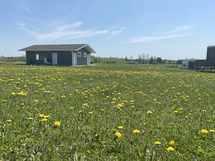 Blueberry Hills RV Park Picture 2
