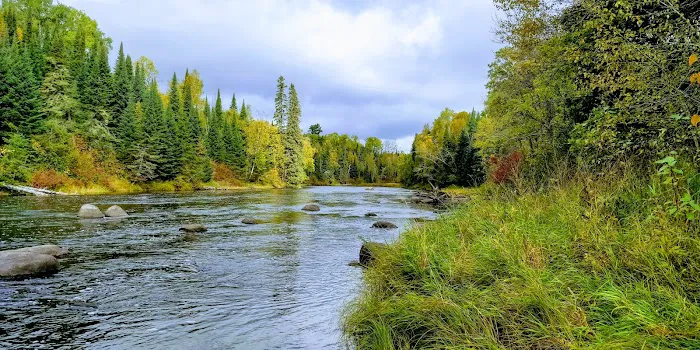 Forestry Department Picture 1