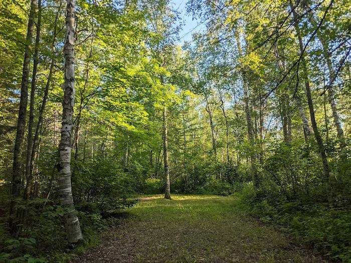 Noma Lake Campground Picture 10