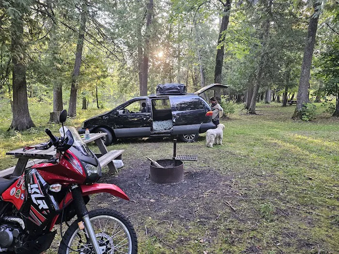 Pine Tree Park Municipal Campground Picture 3