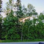 Pine Tree Park Municipal Campground