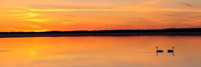 Lakeview RV & Resort Picture 1