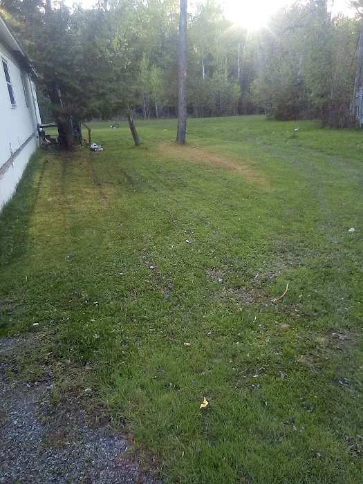 Nichols Trailer Park Picture 2