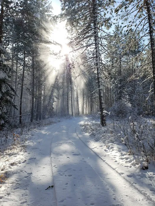 Koochiching State Forest Picture 10