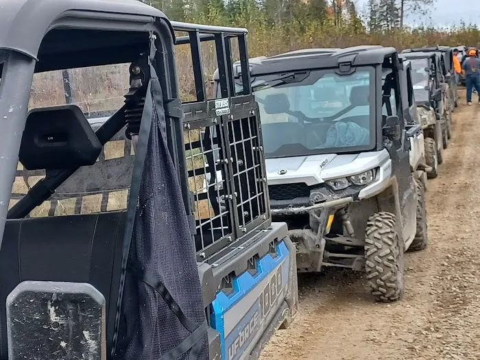 Koochiching State Forest Picture 8