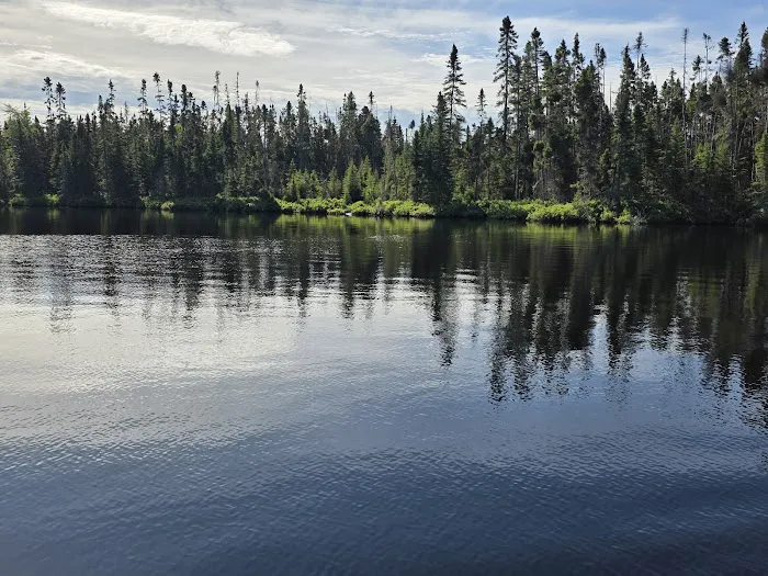 Koochiching State Forest Picture 6