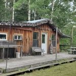 Koochiching State Forest