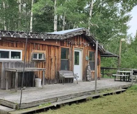 Koochiching State Forest