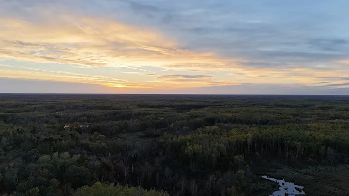 Koochiching State Forest Picture 5