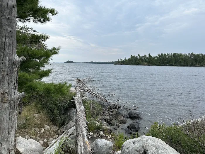 Loon Cove Campsite Picture 4