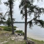 Loon Cove Campsite