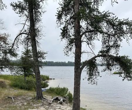 Loon Cove Campsite