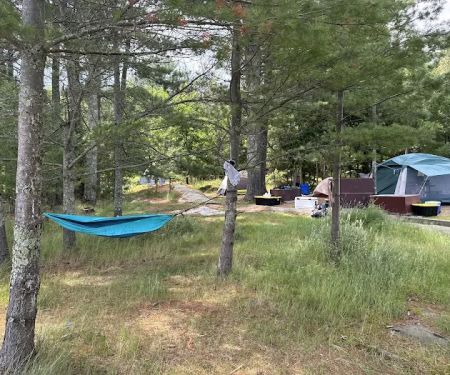 Echo Island Campsite K41 - Voyageurs National Park