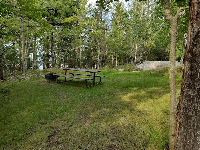Wooden Frog Campground and Day Use Area Picture 5