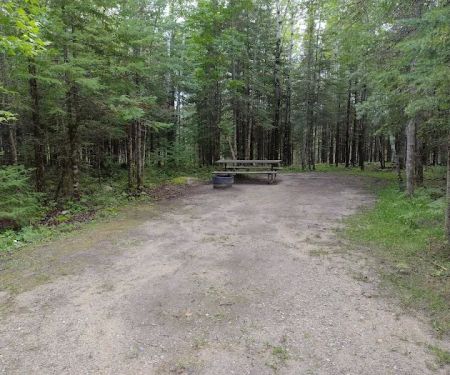 Wooden Frog Campground and Day Use Area