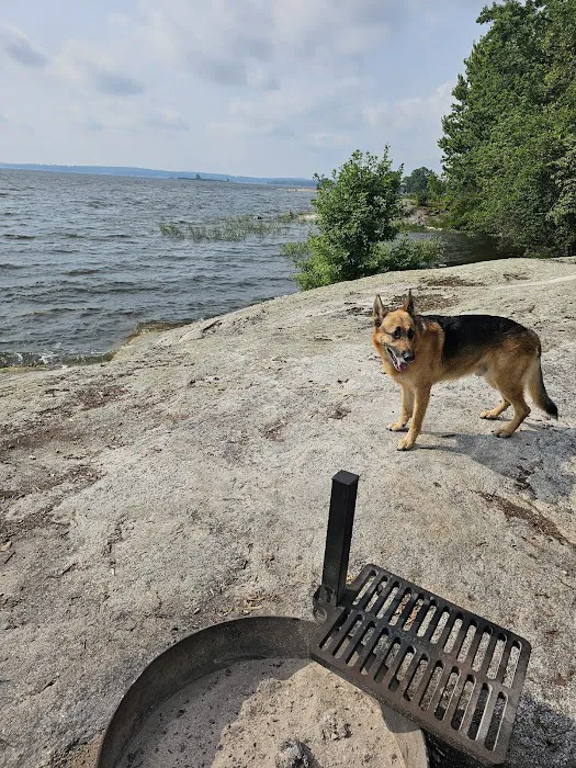 Grassy Islands South - K9 Campsite Picture 3
