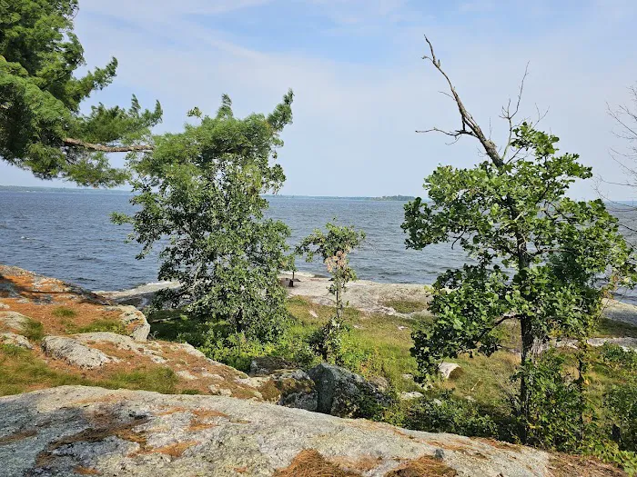 Grassy Islands South - K9 Campsite Picture 1