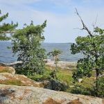 Grassy Islands South - K9 Campsite