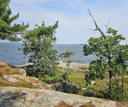 Grassy Islands South - K9 Campsite