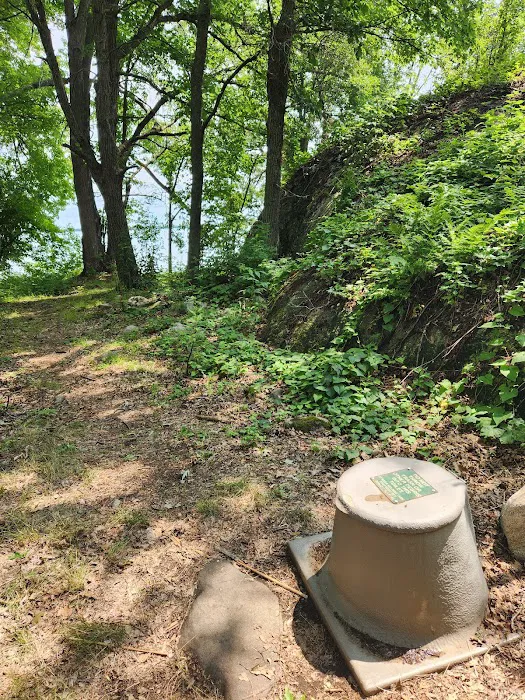 Grassy Islands South - K9 Campsite Picture 9