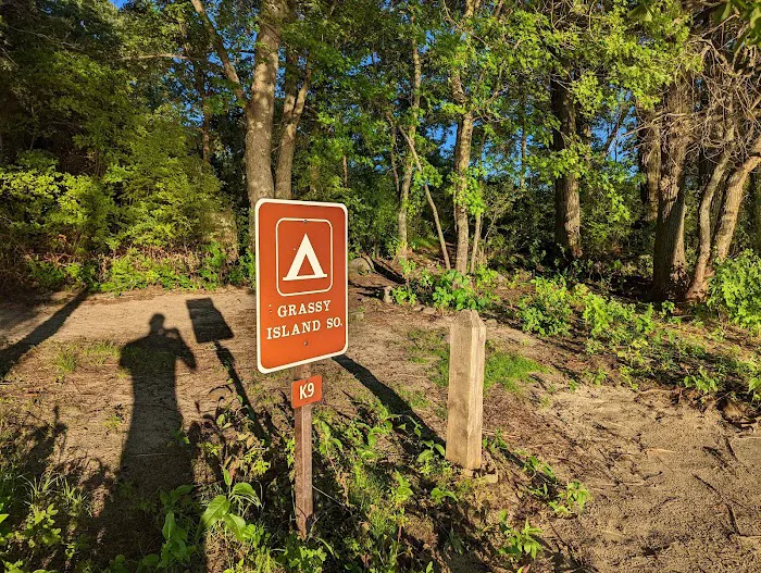Grassy Islands South - K9 Campsite Picture 6
