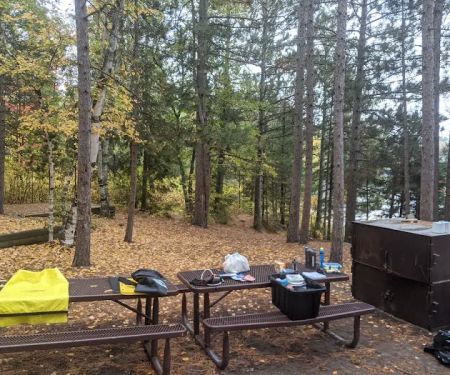 K5 C. Vic Linsten Campsite