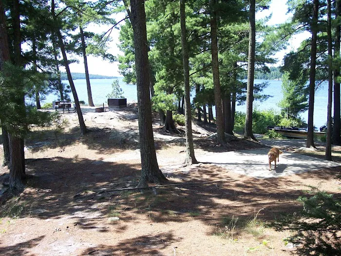 Lost Bay Island K17 Campsite Picture 7