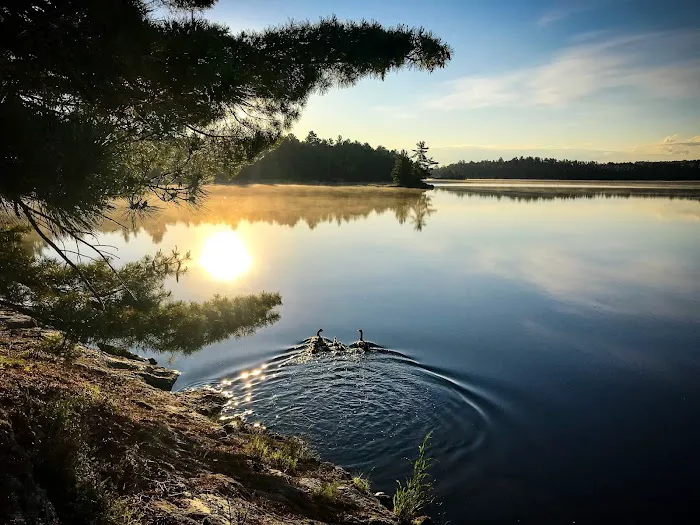 Lost Bay Island K17 Campsite Picture 6