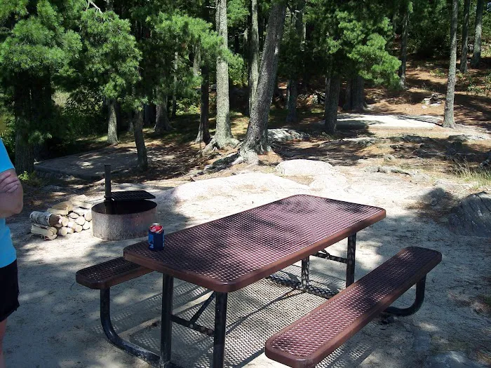 Lost Bay Island K17 Campsite Picture 5