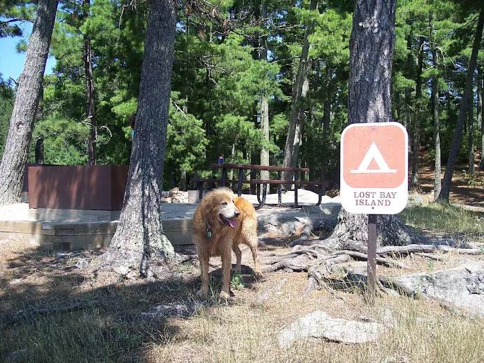 Lost Bay Island K17 Campsite Picture 9