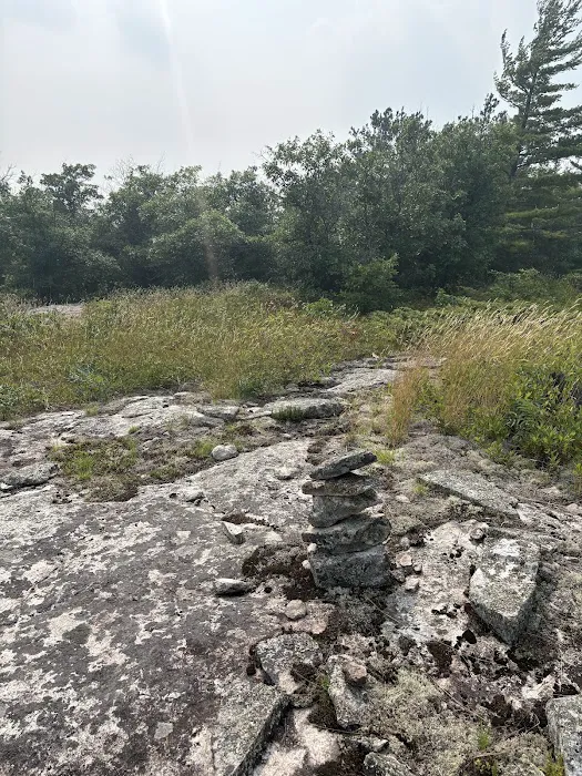 Site Blueberry Ridge H2 Picture 4