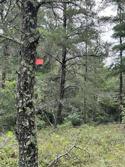 Site Blueberry Ridge H2 Picture 6
