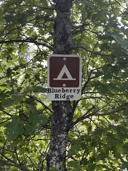 Site Blueberry Ridge H2 Picture 3