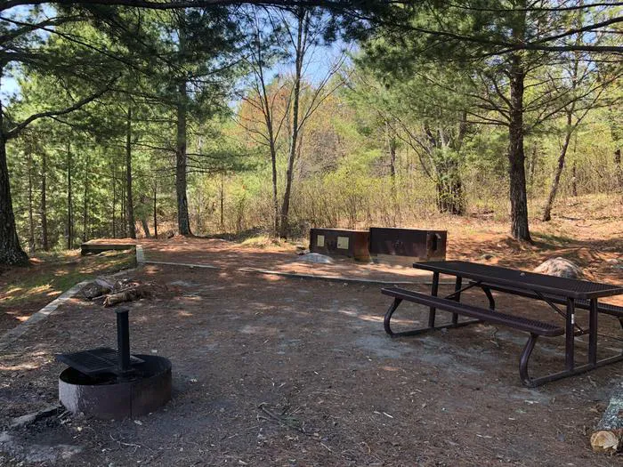 Lost Lake K19 Campsite Picture 9